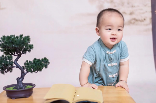 代怀生子好找吗可爱的企鹅宝宝